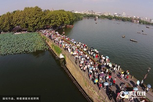 杭州 一日游 涉事企業導游被罰 旅行社負責人致歉