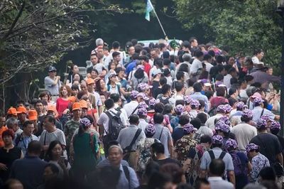 最新數據:1110萬人馬上就要涌入杭州!這個十一,你會在哪里看人山人海呢?_旅游_網