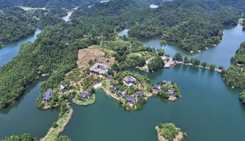 杭州多個旅游景點(diǎn)免費(fèi) 特價 就在今天