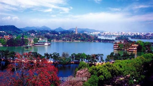 天容水色西湖好 一縣一品公益助農(nóng),浙江杭州西湖特產(chǎn)龍井茶