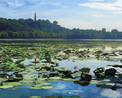 深圳和杭州哪個適合居住?