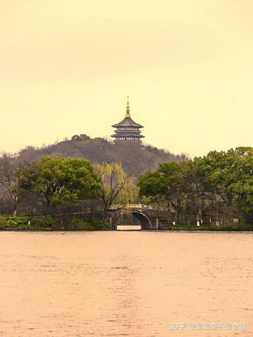 2024杭州旅游攻略 此攻略小白必看 親身體驗玩轉杭州心得分享