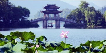 暑期親子游 杭州入選國內十大目的地和出發(fā)地
