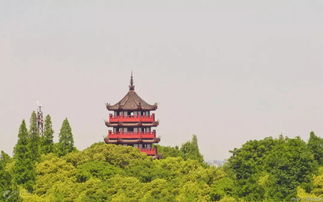 杭衢療休養合作再升級,快來領取你的福利