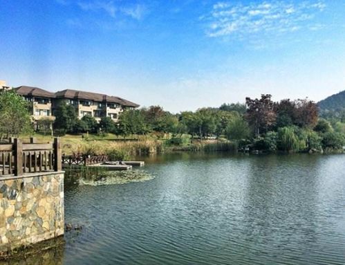 來杭州怎么玩 獻上一份小眾旅游攻略,帶你花式游西湖逛棲塘