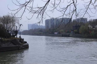 ,杭州自助游攻略 馬蜂窩