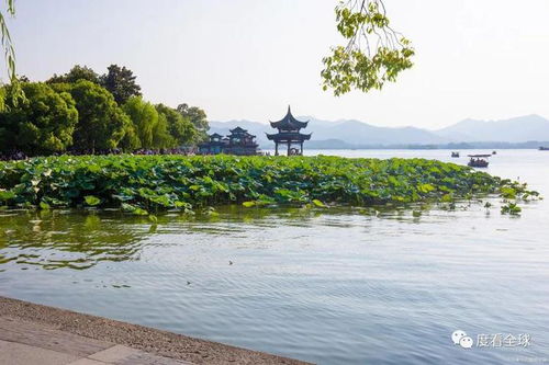 杭州旅游攻略必去景點推薦,暢游杭州 感受中國江南的浪漫韻味
