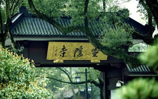 影像城市 聆聽杭州 用世界的語言,唱一首杭州的歌