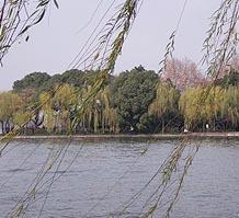 家住杭州或者對杭州旅游比較了解的人進下,謝謝了