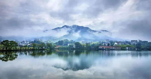 大數(shù)據(jù)洞察 莫干山民宿產(chǎn)業(yè)布局、產(chǎn)品趨勢與杭州旅游聯(lián)動(dòng)發(fā)展